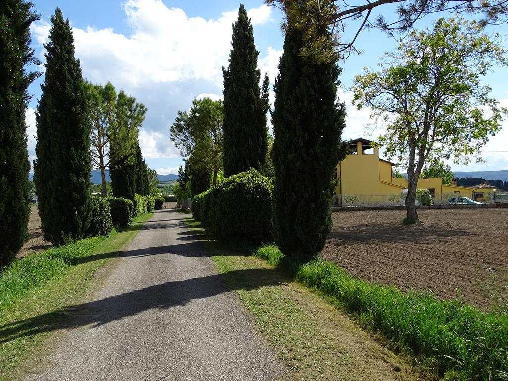 La Vecchia Stalla B&B 나르니 외부 사진