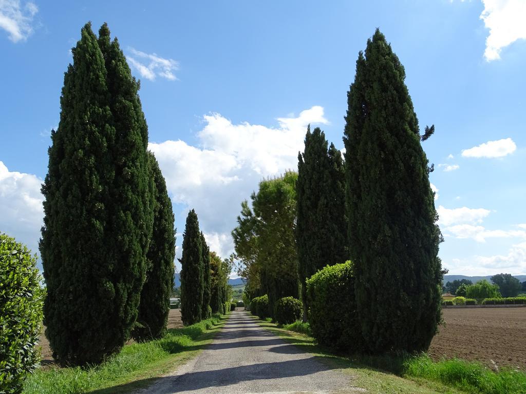 La Vecchia Stalla B&B 나르니 외부 사진